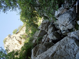 stoleone-09-08-2020 09